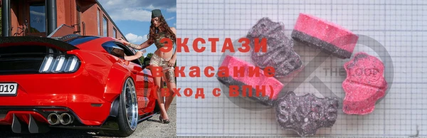 прущие грибы Михайлов