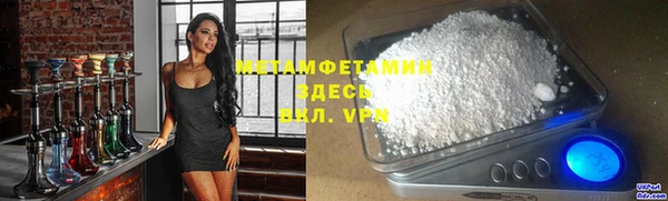 прущие грибы Михайлов