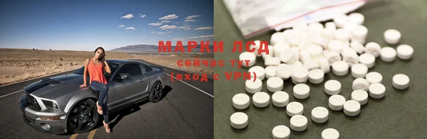 прущие грибы Михайлов