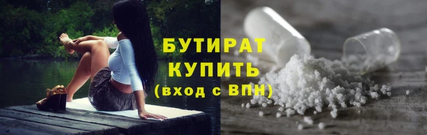 прущие грибы Михайлов