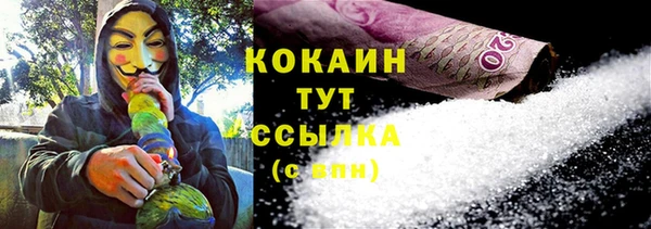 прущие грибы Михайлов