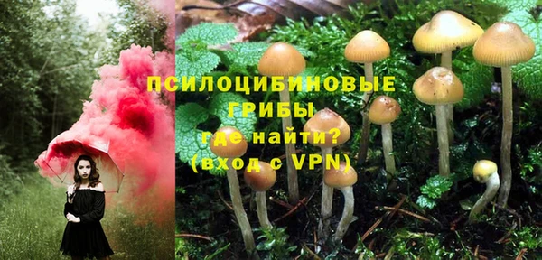 ALPHA-PVP Надым