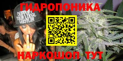 метадон Донской
