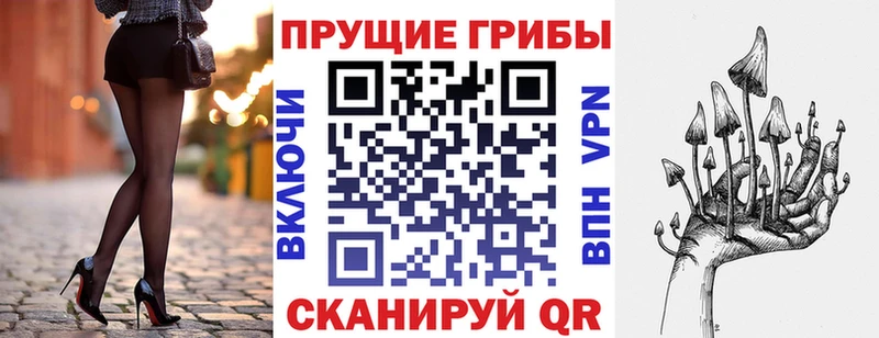 купить  цена  Нижний Тагил  Псилоцибиновые грибы Psilocybe 