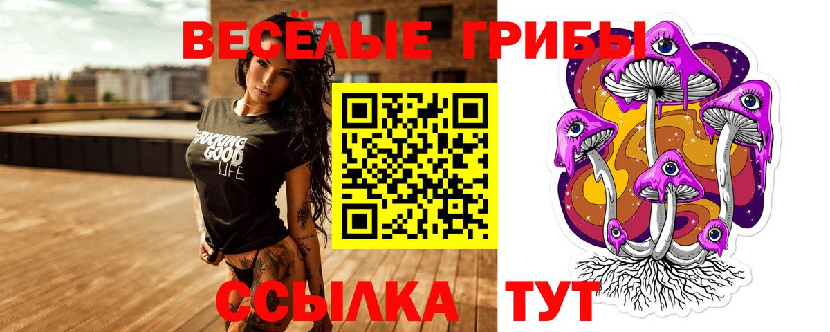 Галлюциногенные грибы GOLDEN TEACHER Нижний Тагил