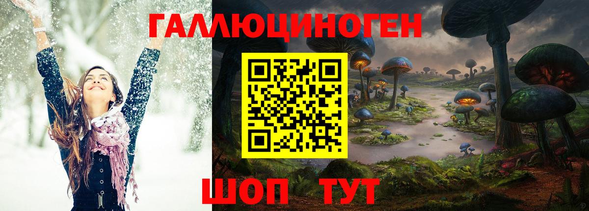 Псилоцибиновые грибы GOLDEN TEACHER  Вход с VPN  Псилоцибиновые грибы ЛСД  Нижний Тагил 