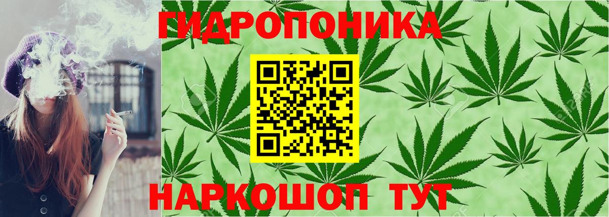Конопля гибрид Нижний Тагил
